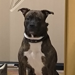 Ирина Николаевна