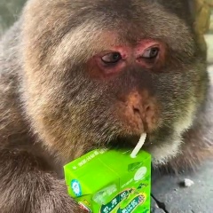 Андрей Панасенко, 02.08, Воронеж