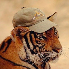 Игорь Солдатенков, 10.09, Тверь