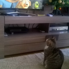 Ева Авраамовна, 08.02.1989, Marseille