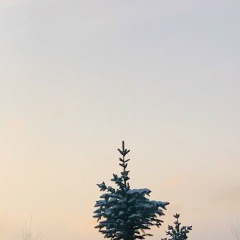 Владимир Чересов, 15.08.1995