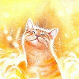 Таня Алтухова, Санкт-Петербург