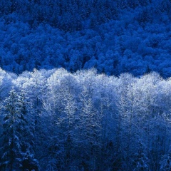 Дмитрий Гореликов, 25.09.1998, Москва