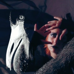 Анастасия Курская