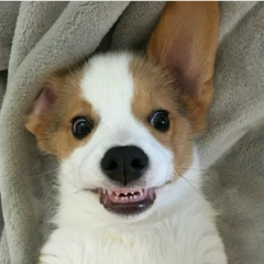 Валентин Тыргин, 15.07, Санкт-Петербург