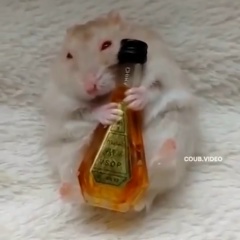 Денис Емельянов