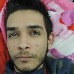 Gustavo Rei Panda, 28.06.1994, São Paulo