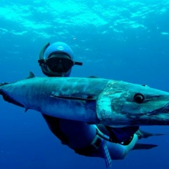 Леонид Клешнин, 07.03.1978, Санкт-Петербург