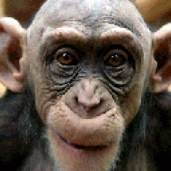 Валерий Романов, 21.08.1901, Тамбов