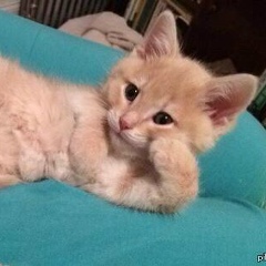 Damir Yermukhanbetov, 21.12, Актобе