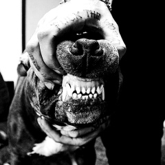 Вячеслав Друз, 28.02.1988, Москва