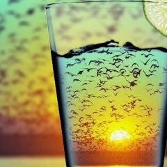 Кирилл Телепов, 24.05.1983, Екатеринбург