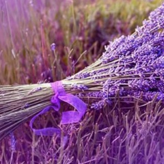 Галина Чиркова, 12.03