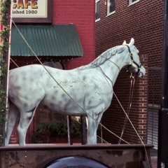 Ася Александров