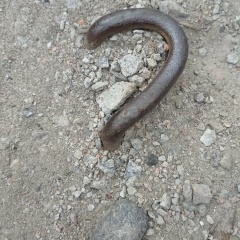 Мила Азарова