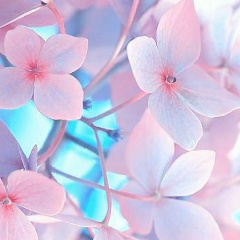 Лаура Ахметова, 21.06.1989, Алматы