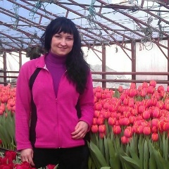 Елена Еленова, 24.12