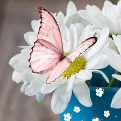 Айнур Исенгалиева, 01.10, Актобе