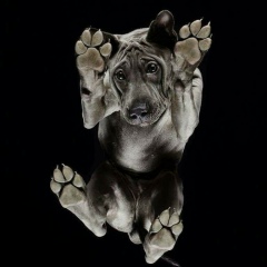 Сергей Михайличенко, 12.06, Полтава