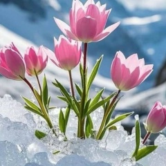 Анна Вета, 30.03.1982