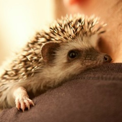 Мария Шипитко, 25.02, Ростов-на-Дону