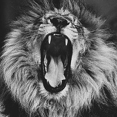 Артем Манаков, 22.11, Абакан