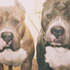 Витя Петрунин, 09.05.1986, Москва