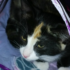 Ким Вячеслав, 21.08.1983