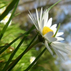 Людмила Ковалевич, 28.02
