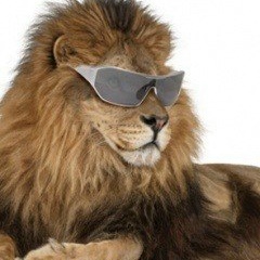 Талғат Сырлыбаев, 16.10, Санкт-Петербург