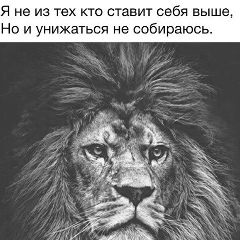 Шамиль Гамзуев, 01.01.1996, Хасавюрт