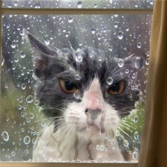 Владимир Андреевич, 17.08, Сургут