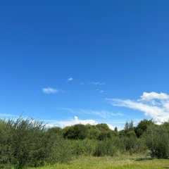 Лилия Ондар, Кызыл