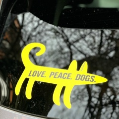 Эвелина Акопова, 09.01, Санкт-Петербург