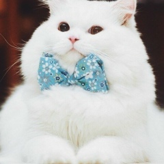 Жанат Кеулимжаева, 14.12.1992, Алматы