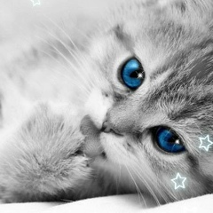 Алина Мельникова, Ессентуки