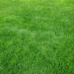 Абай Арзыбеков, 23.01.1991, Шымкент