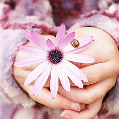 Ася Кривцова, Липецк