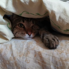 Светлана Буланенкова, 13.08, Москва