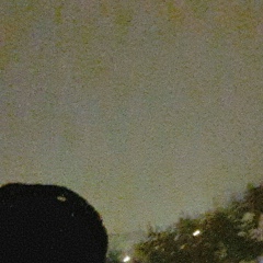 Hovo Hovhannisyan, 27.10.1995, Ереван