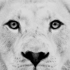 Евгений Кукол, 04.08.1988