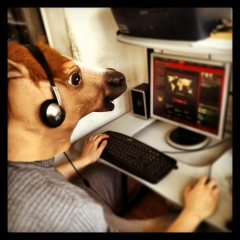 Nursultan Issabayev, 06.04.1993, Алматы