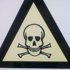 Эмиль Маилов, Самарканд