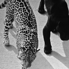 Татьяна Хохулина, Архангельск