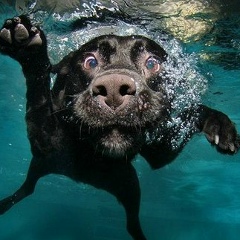 Саша Нестеров, 12.08.1986, Херсон