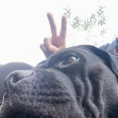 Виталий Коба, 17.05.1990