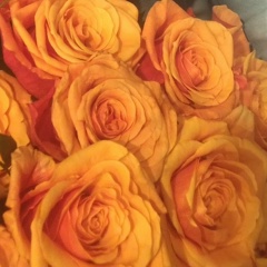 Ольга Макарычева, 07.01, Москва