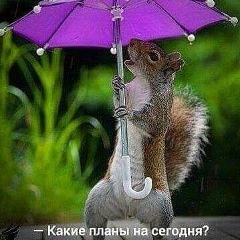 Карлыгаш Балтабекова, 16.04, Астана