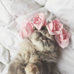 Катя Романюк-Зуб, 23.05.1999, Москва