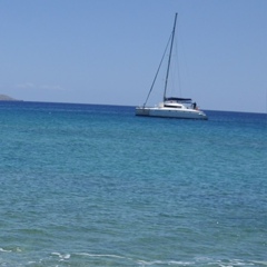 Анютка Штефан, Харьков